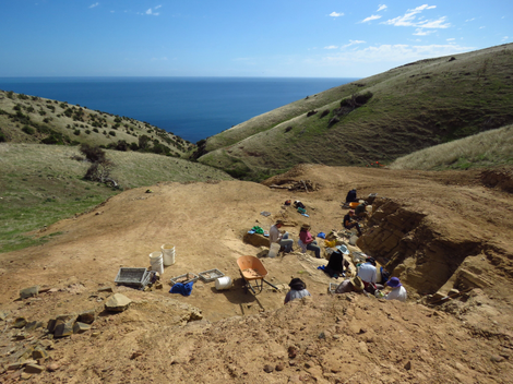 The Emu Bay Shale work site.